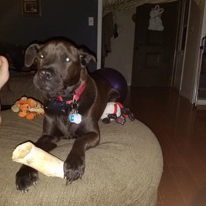 Meet your Posher, Phyllis